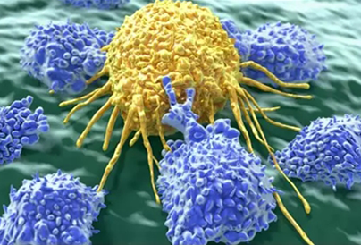Immunity and Tumor: The Royal Army who defeats cancer