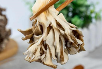 The nutritional value of Maitake, king of fungi