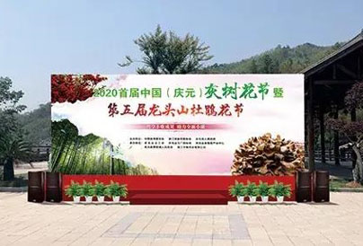 首届中国灰树花节 现场签订1700吨灰树花销售订单