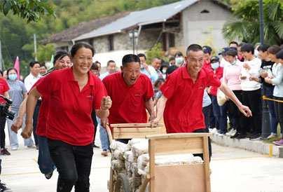 The output of Maitake in Zhongji Village, Qingyuan County, Zhejiang Province accounts for a quarter 