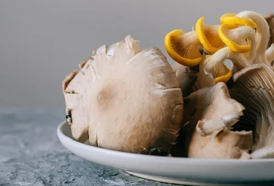 Mushroom has been listed in the best human diet, which can increase muscle, fight cancer and protect