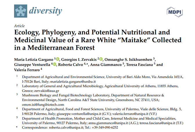 Ecology, Phylogeny, and Potential Nutritional and Medicinal Value of a Rare White Maitake Collected 