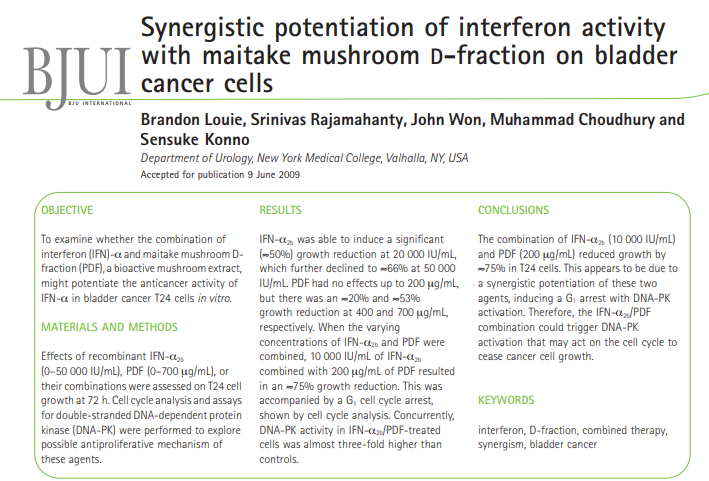 Synergistic potentiation of interferon activity with maitake mushroom d-fraction on bladder cancer cells