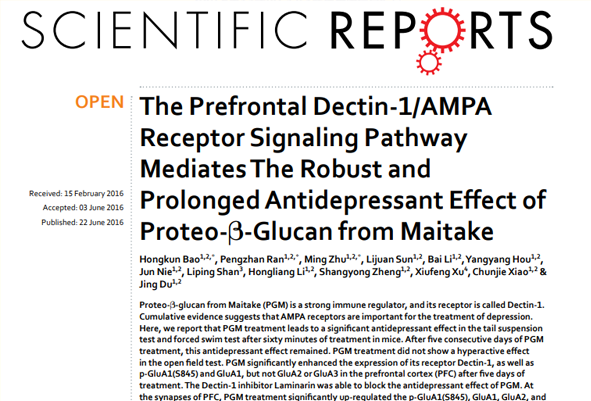 The Prefrontal Dectin-1/AMPA Receptor Signaling Pathway Mediates The Robust and Prolonged Antidepres