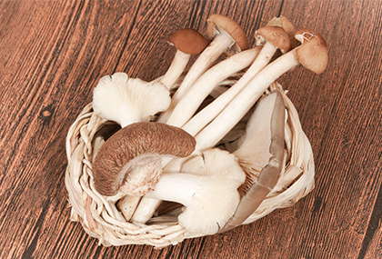 Mushroom has been listed in the best human diet, which can increase muscle, fight cancer and protect