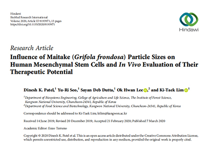 Influence of Maitake ( Grifola frondosa) Particle Sizes on Human Mesenchymal Stem Cells and In Vivo Evaluation of Their Therapeutic Potential