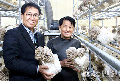 韩国引领灰树花扩大生产